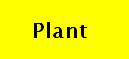 Plant Perfection and Partnership
